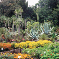 Botanischer Garten